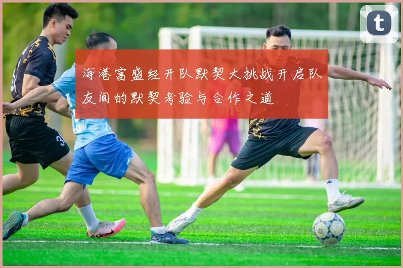 海港富盛经开队默契大挑战开启队友间的默契考验与合作之道